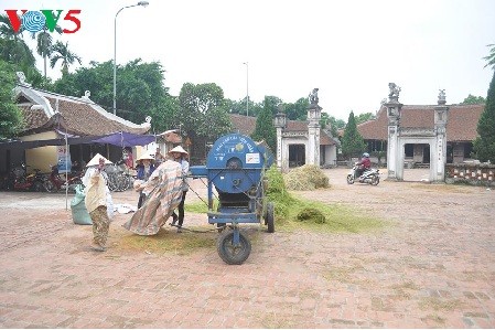 Duong Lam ancient village, “the land of two kings” - ảnh 3